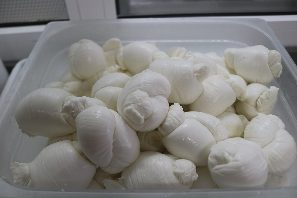 Friss fior di latte mozzarella csomók