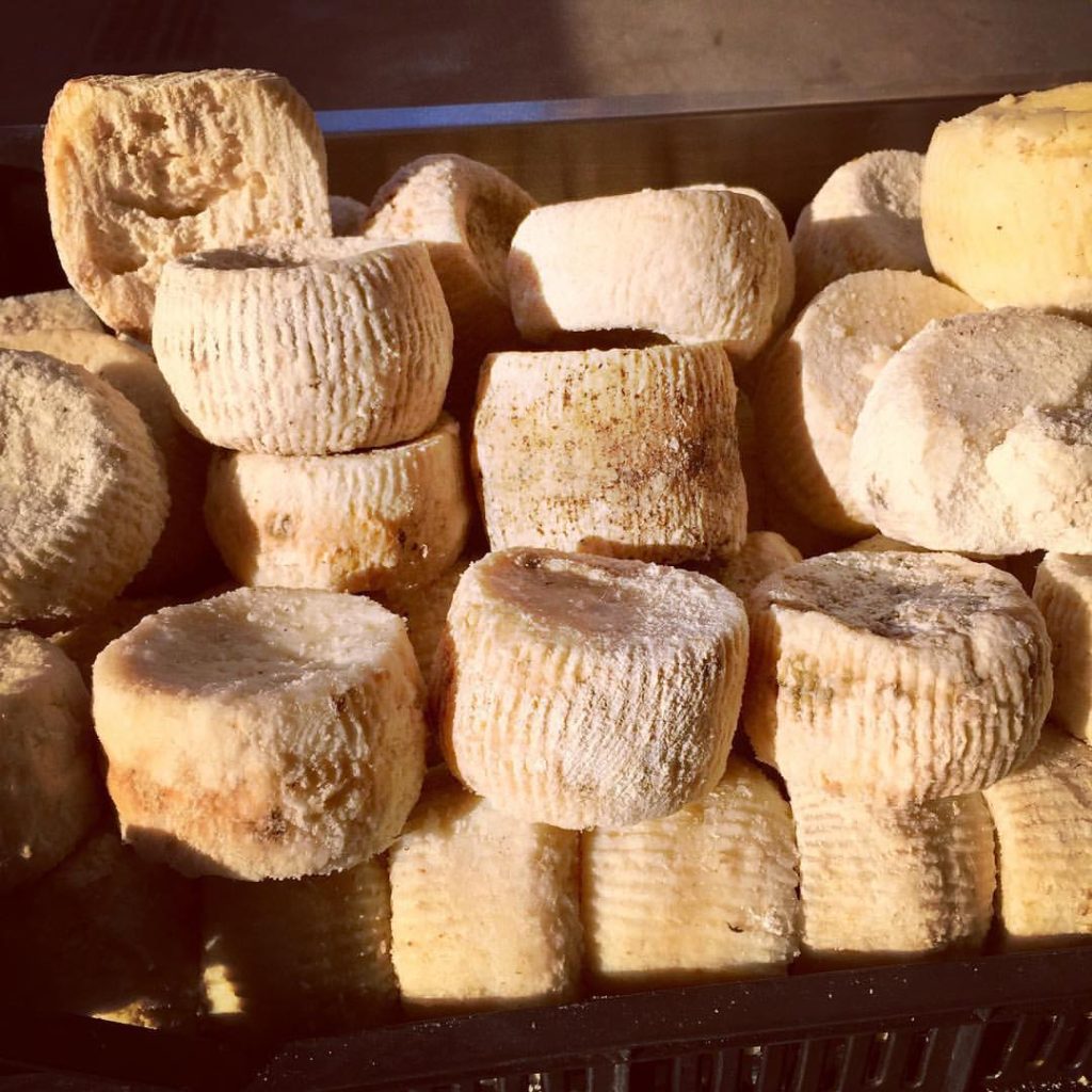 Ricotta salata sajtkorongok egy szicíliai piacon